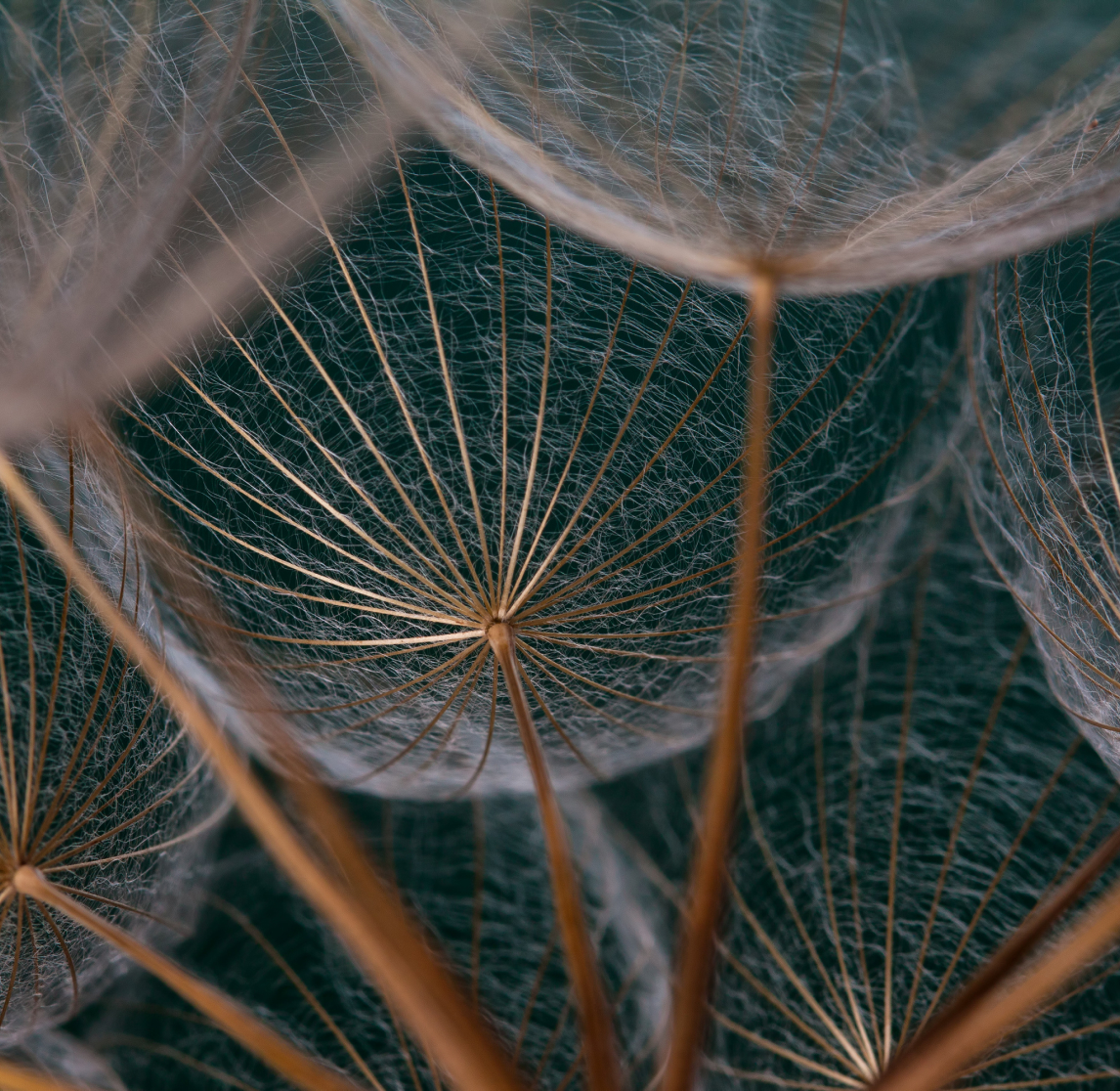 Accent Texture